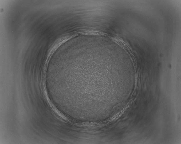 X0000082680049200702091642