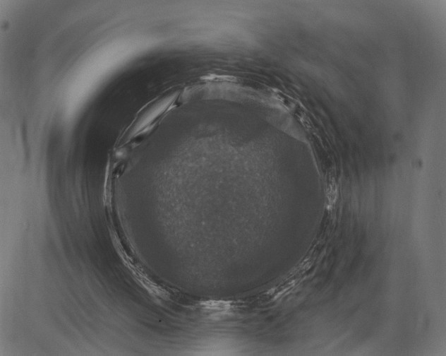 X0000082680052200702091642