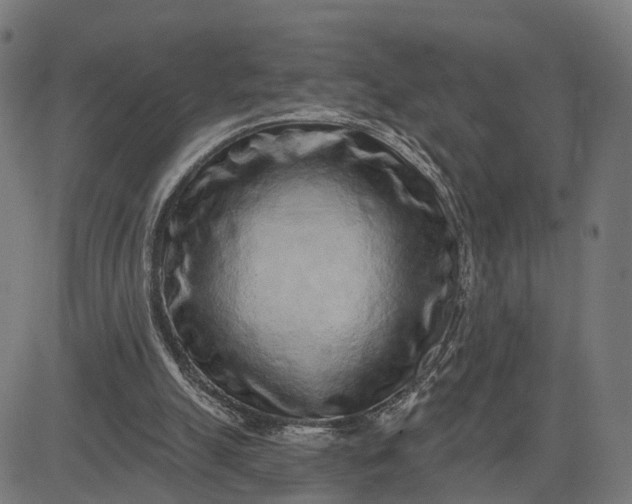 X0000082680055200702091642