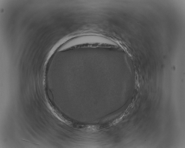 X0000082680056200702091642