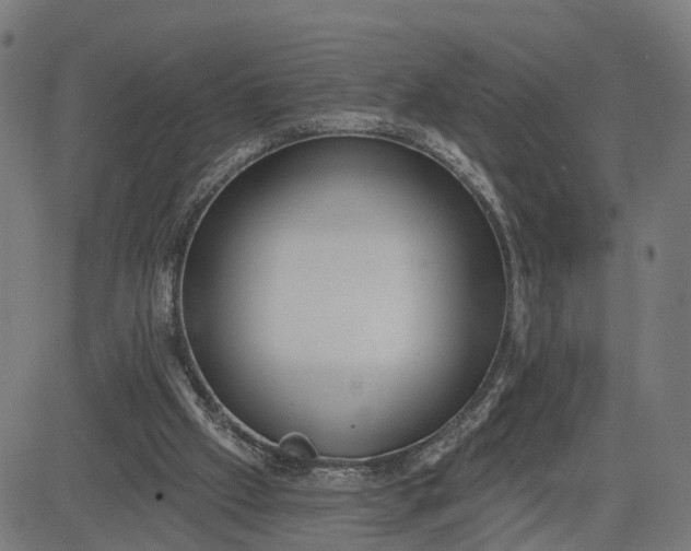 X0000082680057200702091642