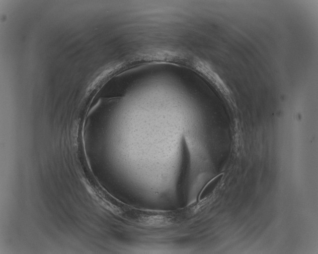 X0000082680058200702091642