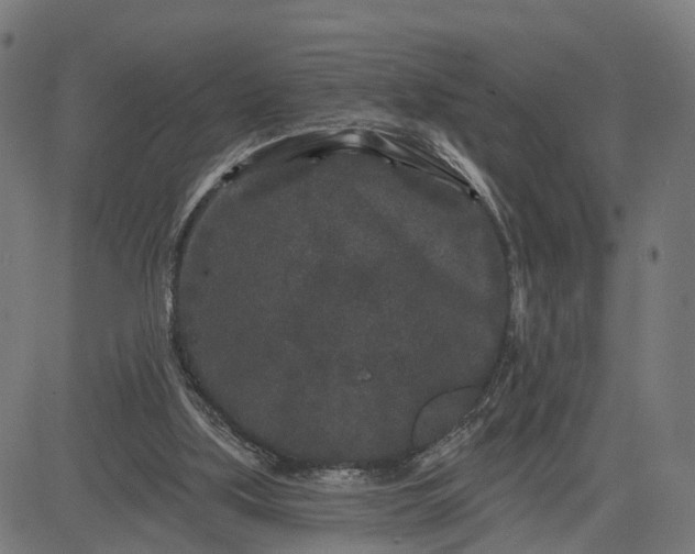 X0000082680059200702091642