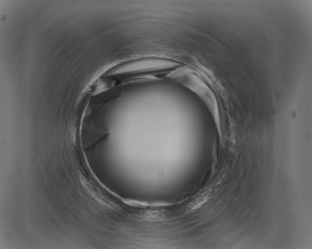 X0000082680060200702091642