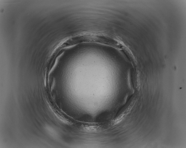 X0000082680062200702091642