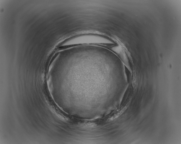 X0000082680063200702091642