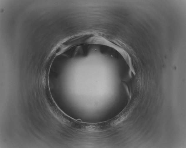 X0000082680064200702091642