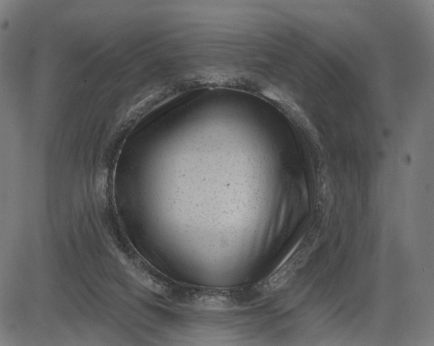 X0000082680066200702091643