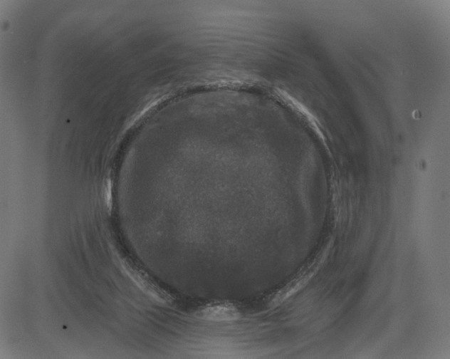 X0000082680067200702091643