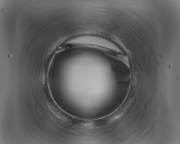 X0000082680068200702091643