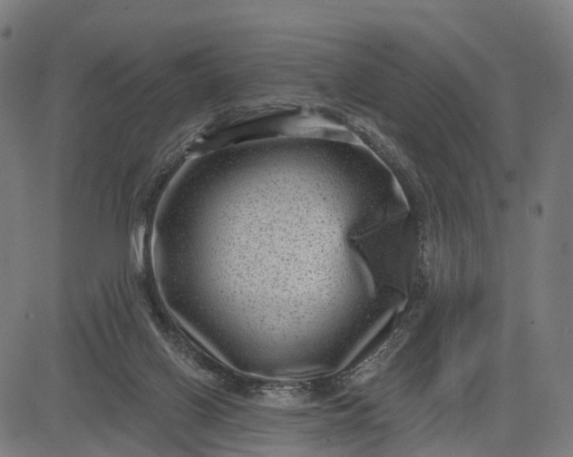 X0000082680070200702091643