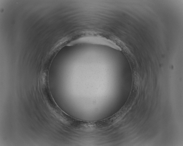 X0000082680071200702091643