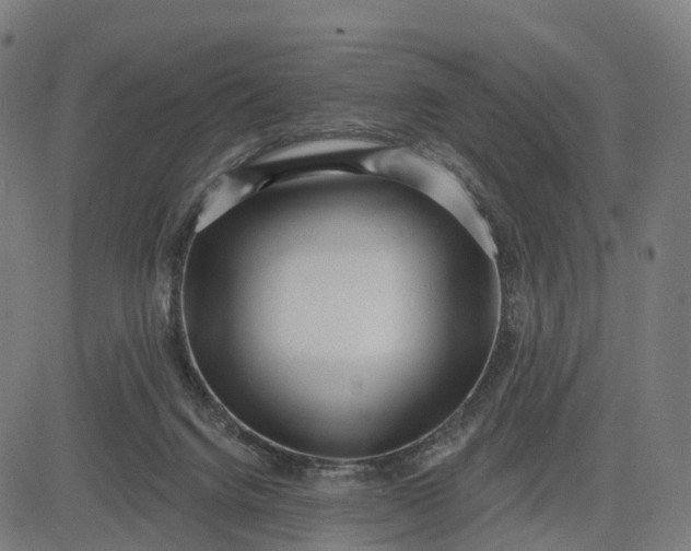 X0000082680072200702091643