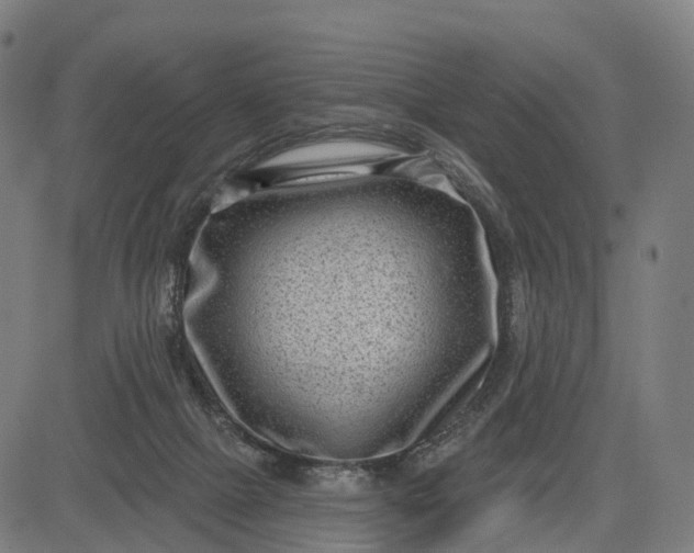 X0000082680073200702091643