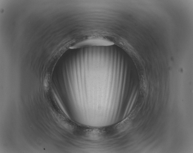 X0000082680074200702091643