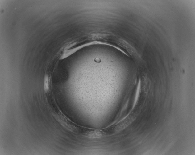 X0000082680075200702091643