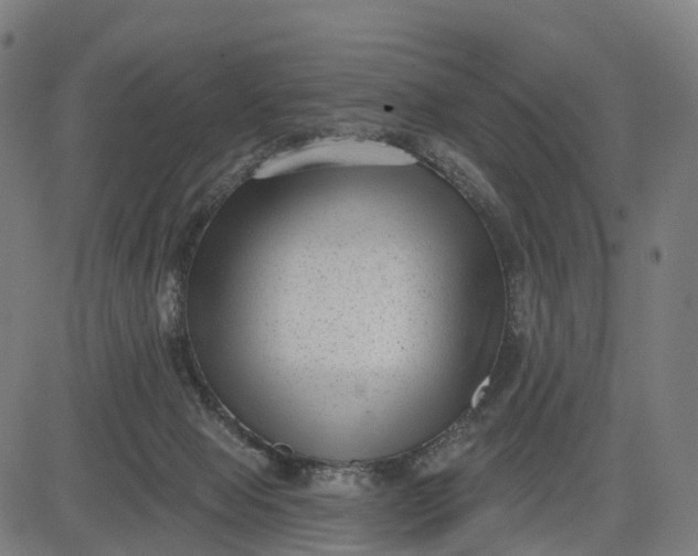 X0000082680077200702091643