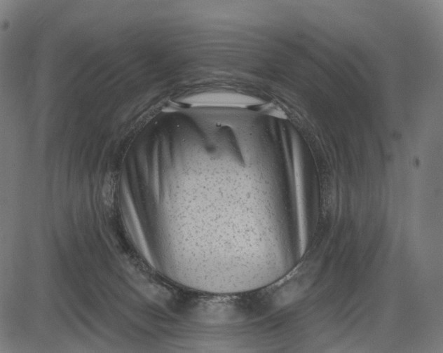 X0000082680078200702091643