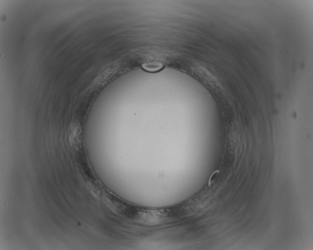 X0000082680079200702091643