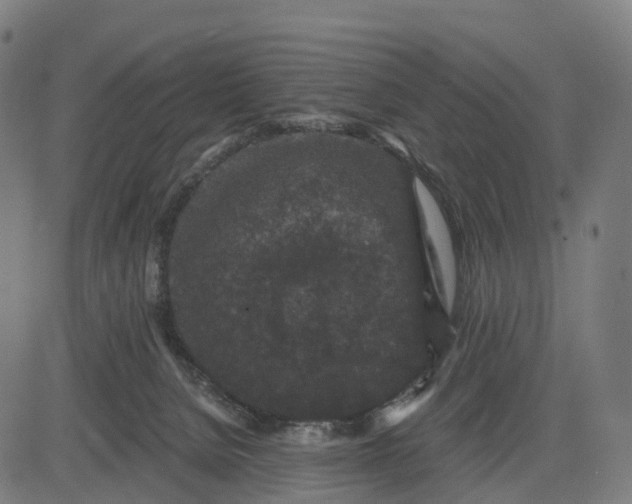 X0000082680080200702091643