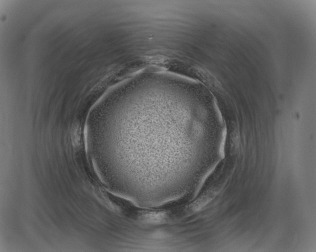 X0000082680081200702091643