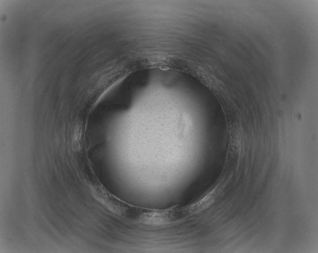 X0000082680082200702091643