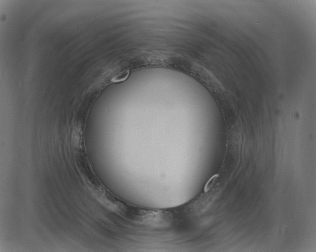 X0000082680083200702091643