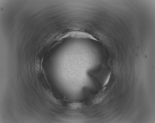 X0000082680085200702091643