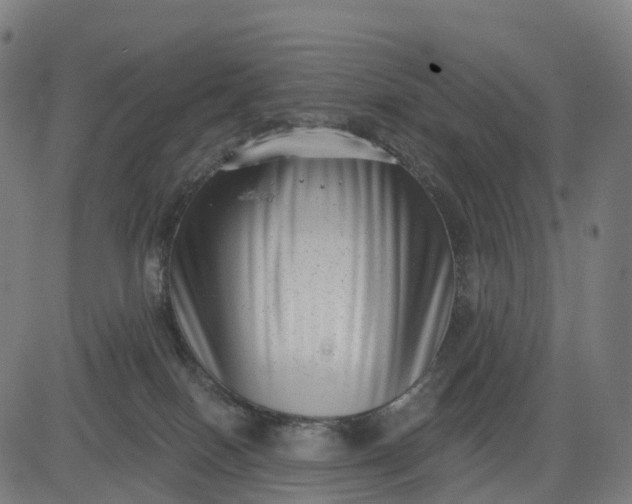 X0000082680086200702091643