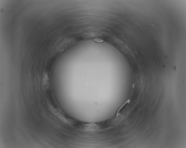 X0000082680087200702091643