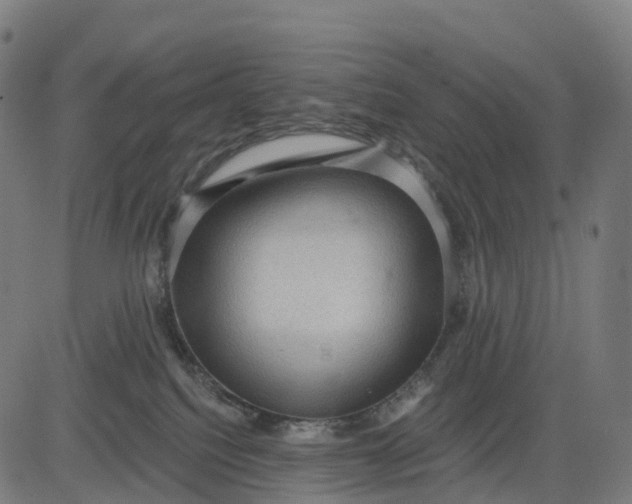 X0000082680088200702091643