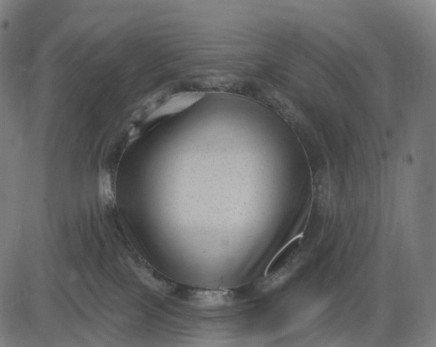 X0000082680089200702091643