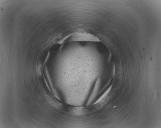 X0000082680090200702091643