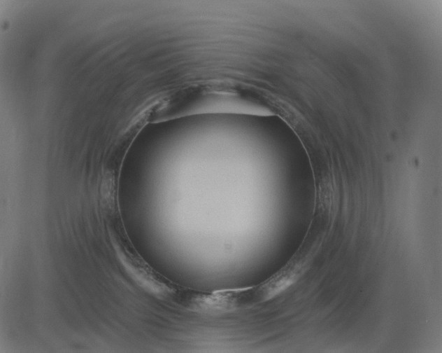 X0000082680092200702091643