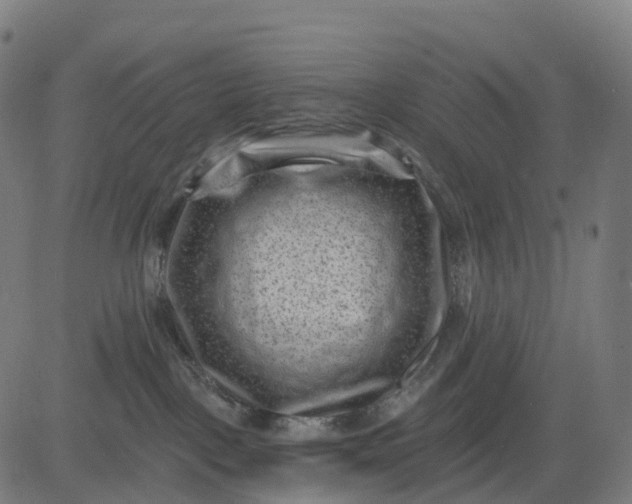 X0000082680093200702091643