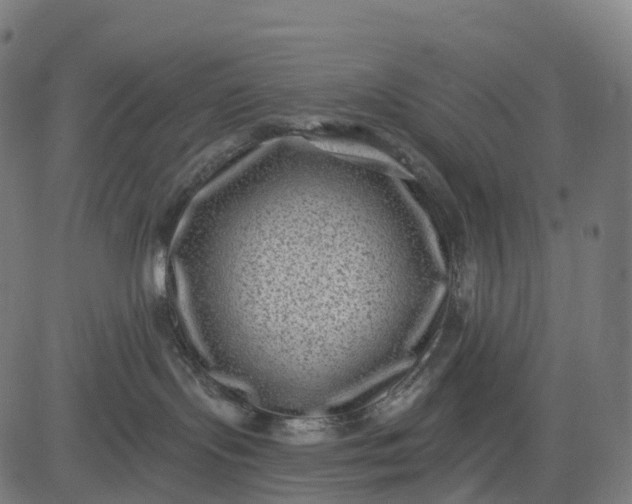 X0000082680095200702091643