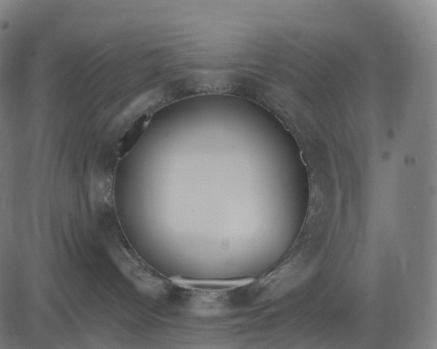 X0000082680096200702091643