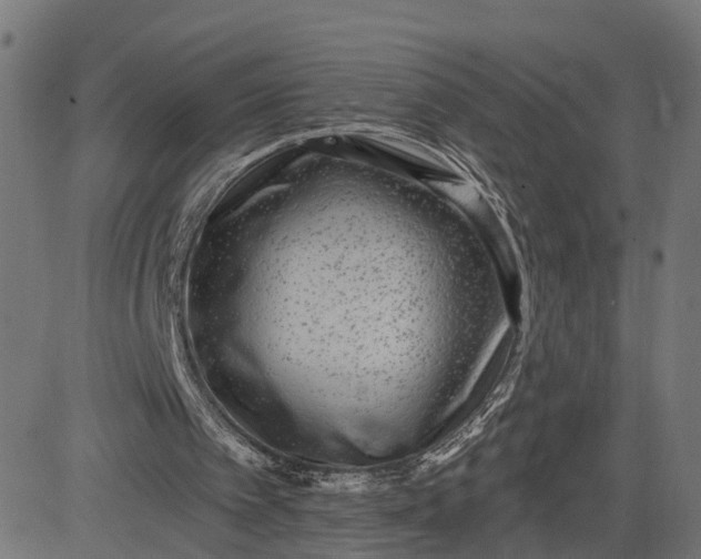 X0000082680097200702091642