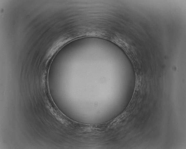 X0000082680098200702091642