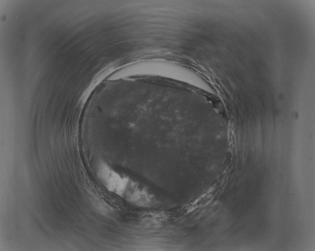 X0000082680099200702091642