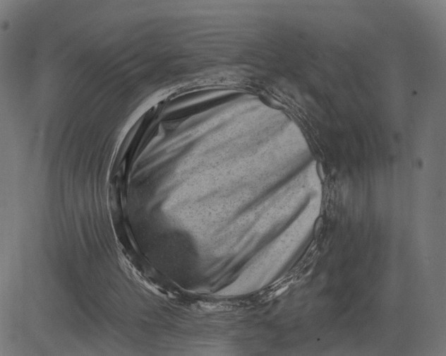 X0000082680100200702091642