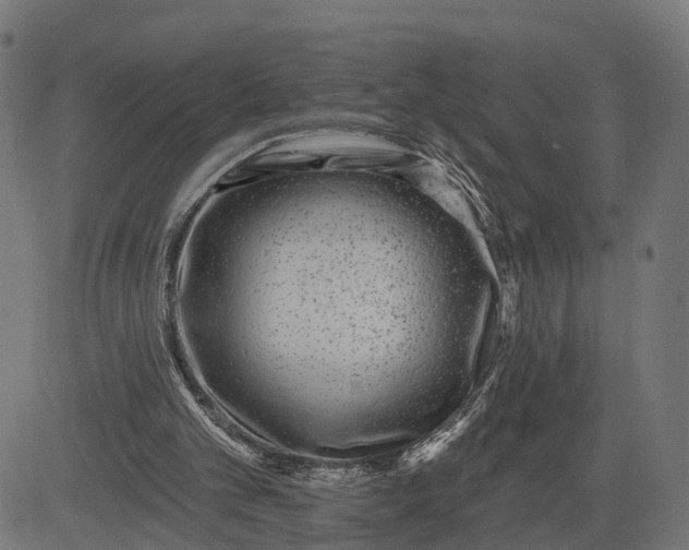 X0000082680101200702091642