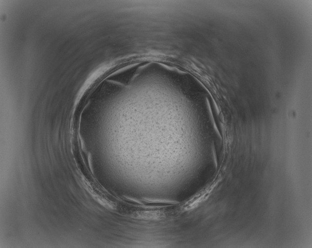 X0000082680102200702091642