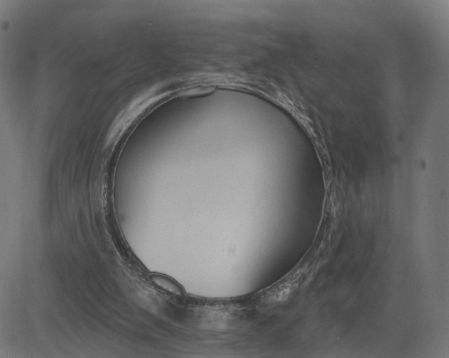 X0000082680103200702091642