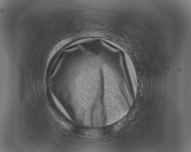 X0000082680104200702091642