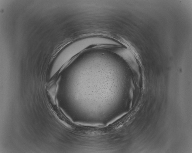 X0000082680105200702091642