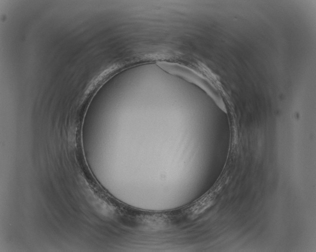 X0000082680106200702091642