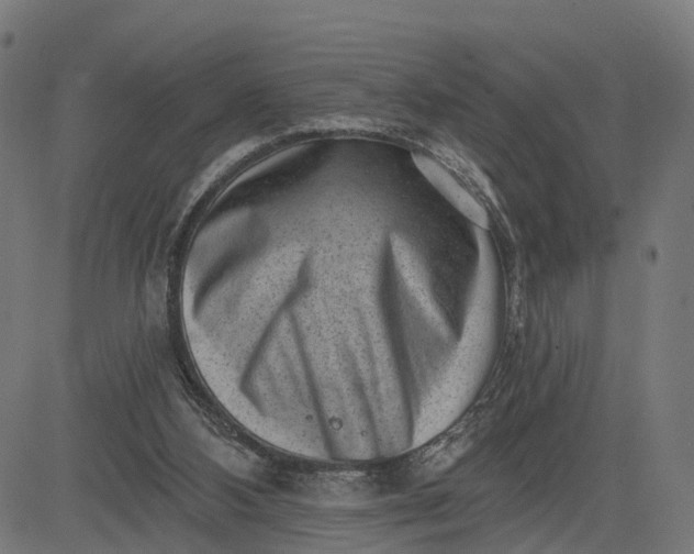 X0000082680108200702091642