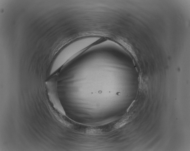 X0000082680109200702091642