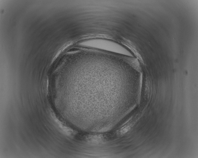 X0000082680110200702091642